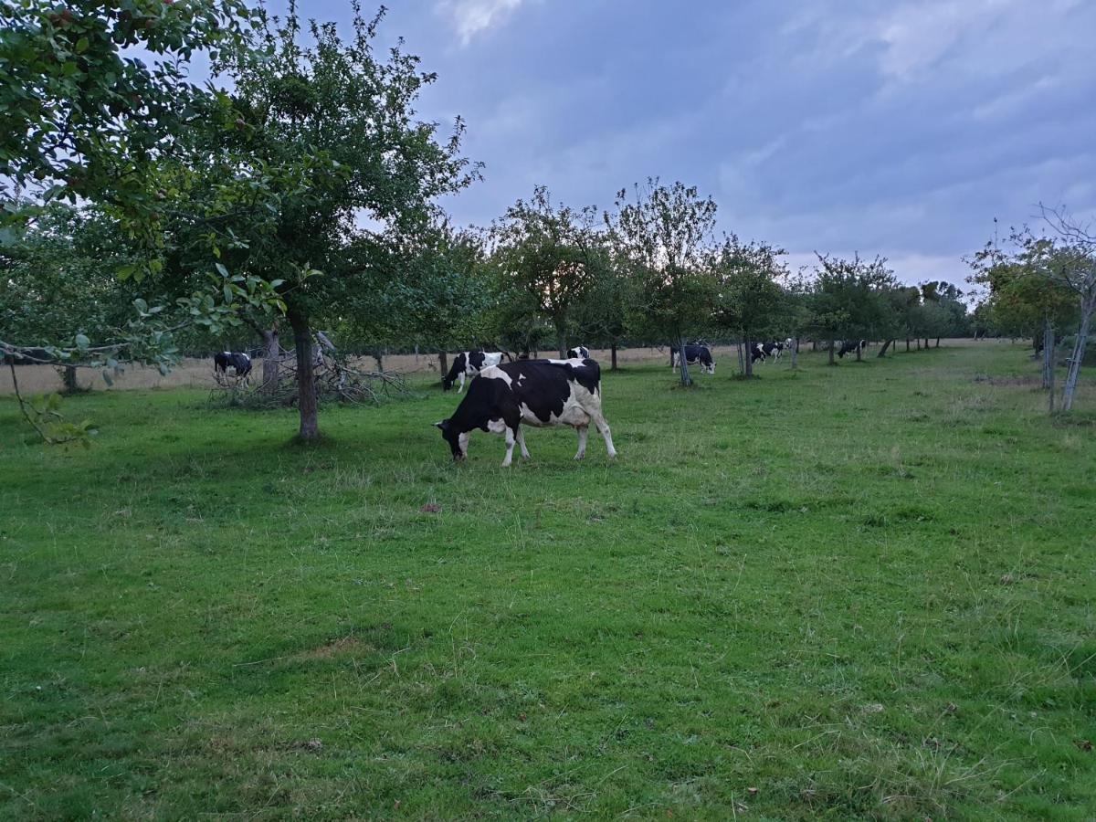 La Ferme Chevalier Ξενοδοχείο Équemauville Εξωτερικό φωτογραφία